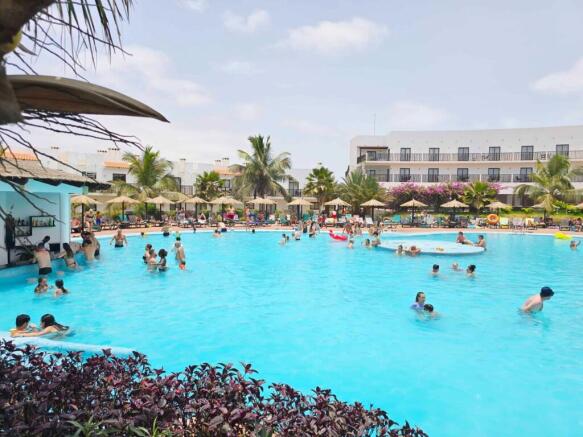 Poolside View