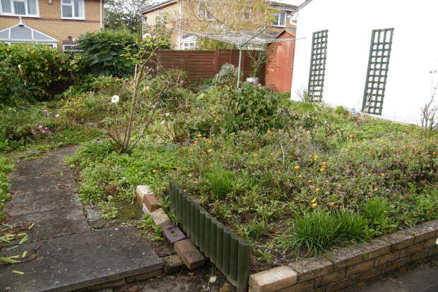 Photo 13