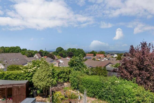 View From Rear