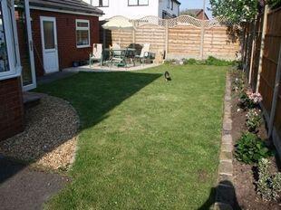 Picture 7