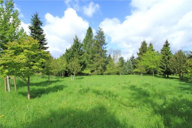 Woodland Garden