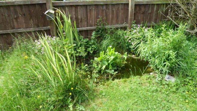garden5.jpg
