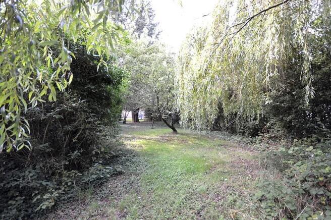 Woodland