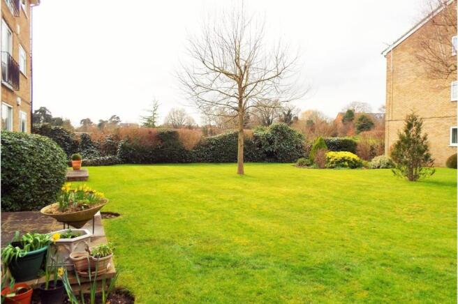 Communal Gardens