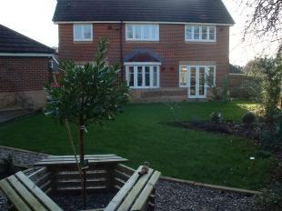 Rear Garden Shot 3