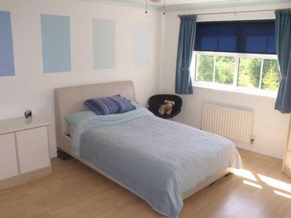 Photo 8