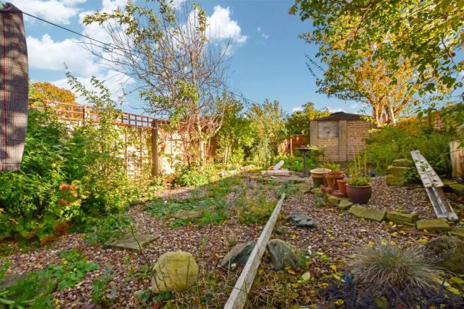 garden 2.JPG