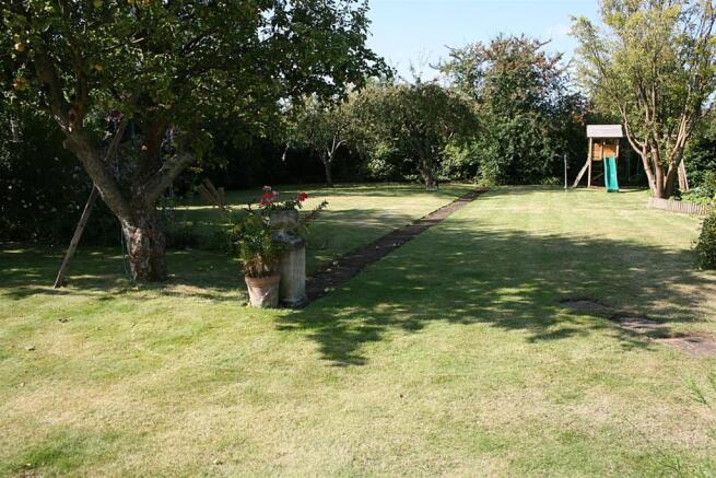 garden.JPG