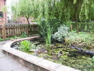 Photo 43