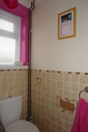 Picture 14