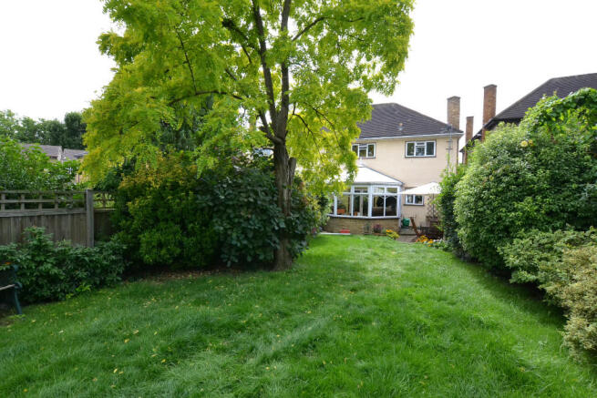 Rear of Property