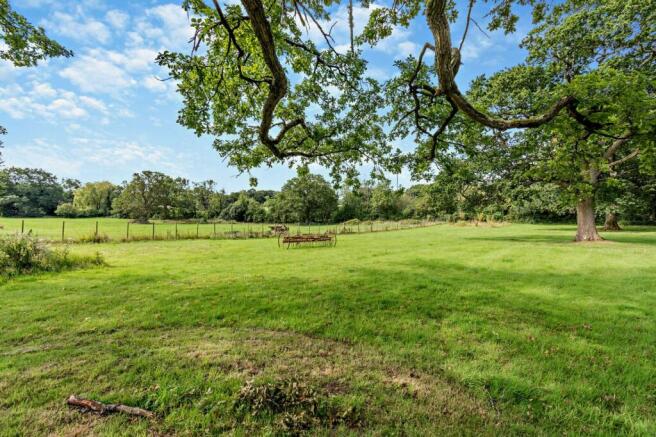 Grounds