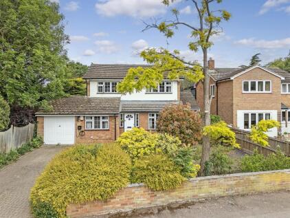Drury Lane - Hunsdon - Large Garden