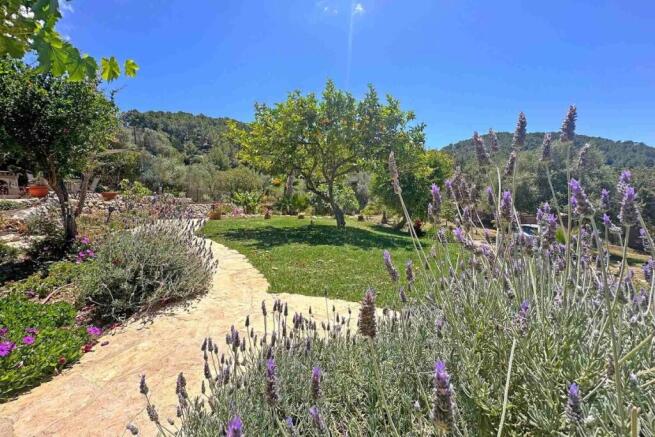 03-s'arraco-Authentische Mallorca-Finca auf 8000 m2 Grundstueck-kaufen-lavendel_1