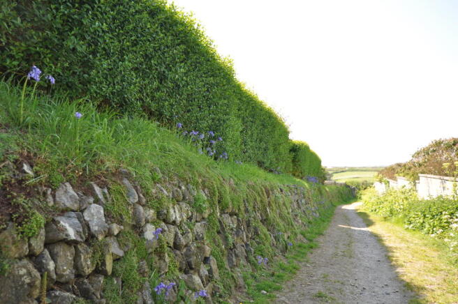Footpath to beach