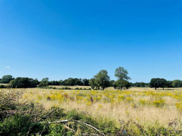 Field Views