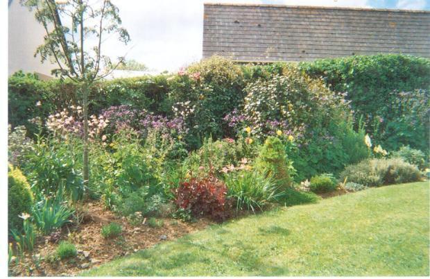 Picture No.36