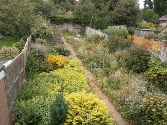 Image 12