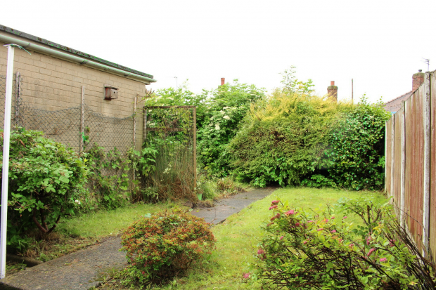 Back Garden 