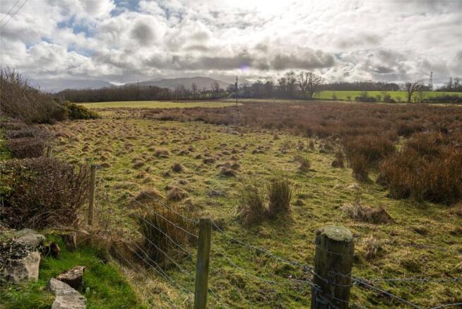 Picture No. 03