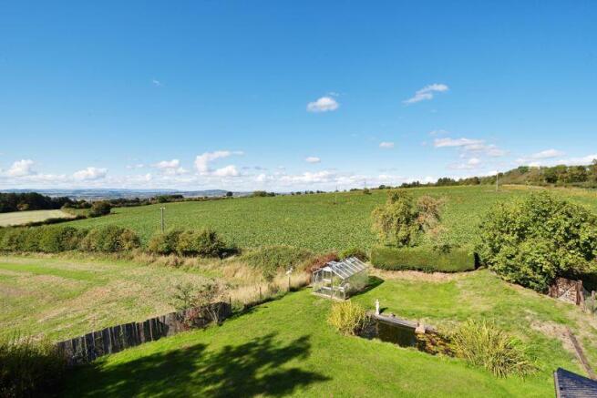Photo 62