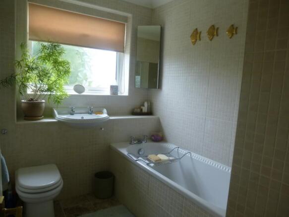 Photo 5
