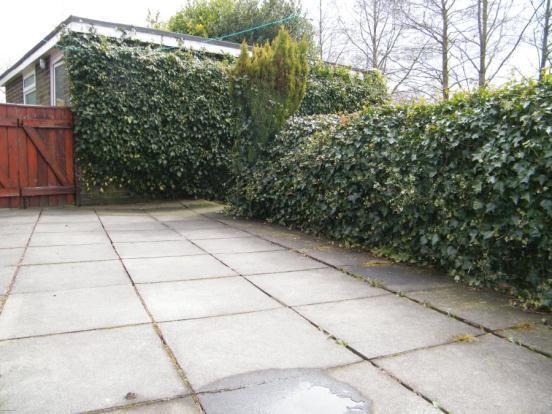 Rear Patio