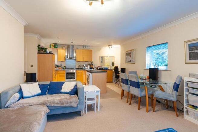 Living Area and Kitchen