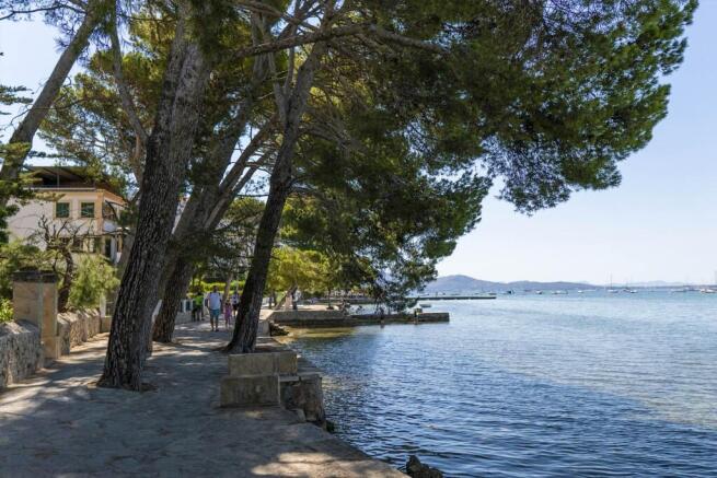 Pine Walk..