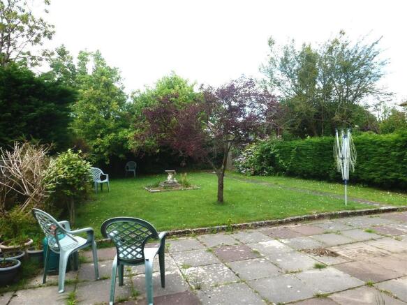 Photo 11