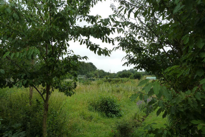 Allotments Close by