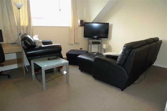 LIVING ROOM/ BEDROOM