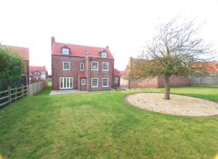 Rear of the Property