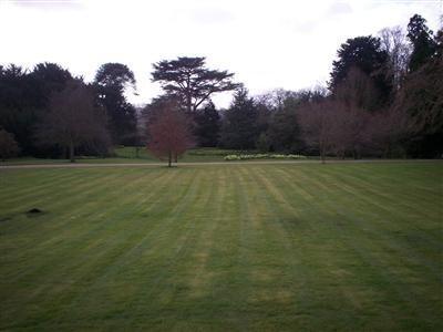 Principal Lawn