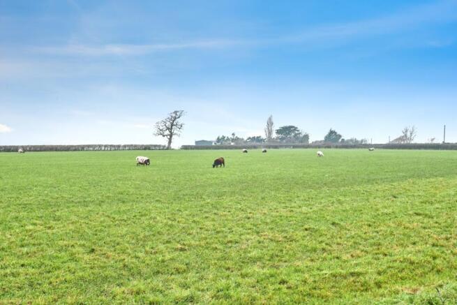 Countryside Views