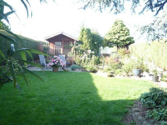 Photo 7