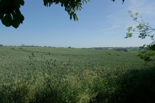 DSC08963.JPG