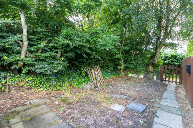 Rear Pathway