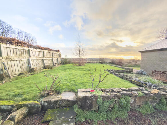 IMG 0419 2 T202601141915.jpg