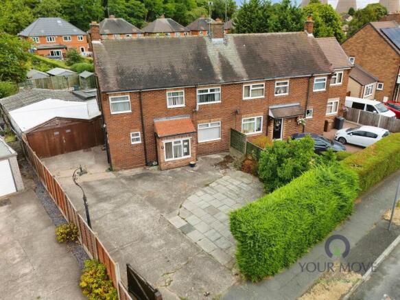 Plot View