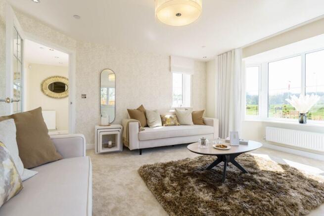 Plenty of room for everyone