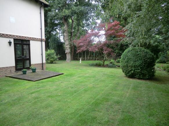 Photo 7