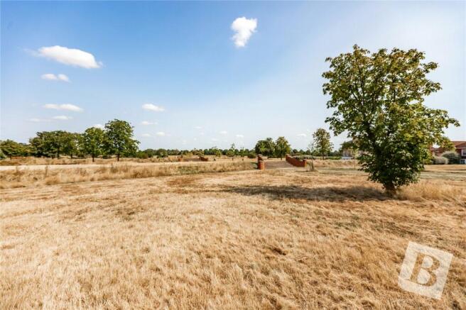 Field Views