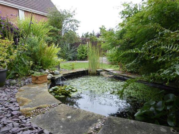 Rear Garden - Pond