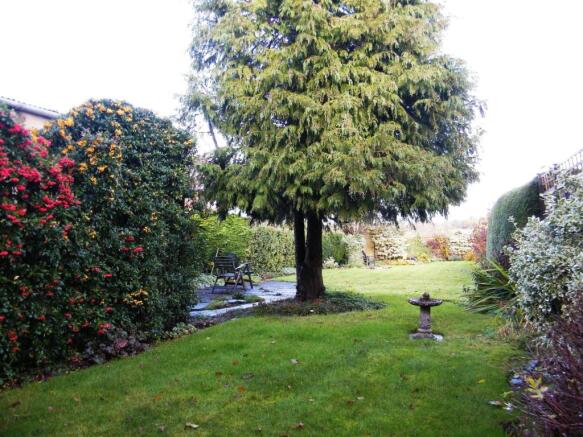 garden.JPG