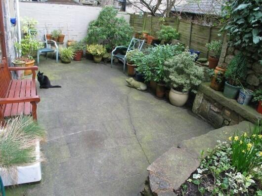 Rear Patio