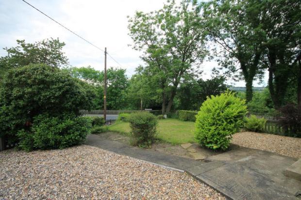 Front Garden Pic2