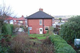 Back Garden