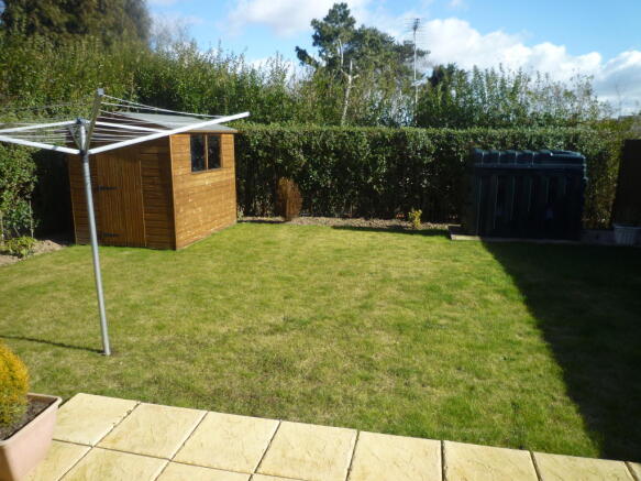 Photo 10