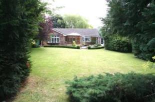 Rear of house